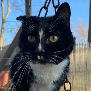 Meet your Posher, Hira